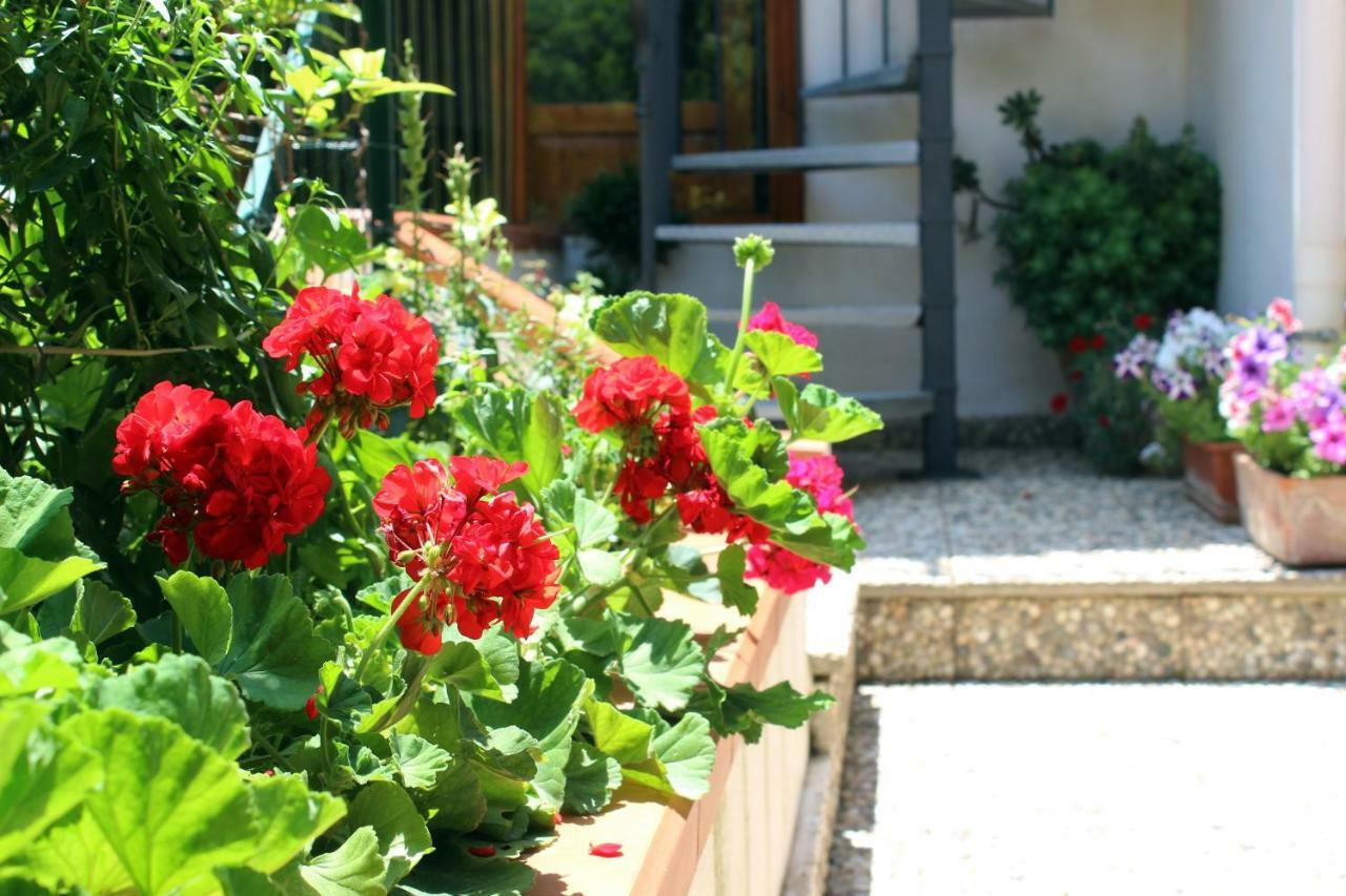 Raggio Di Sole Bed & Breakfast 马卡里 外观 照片